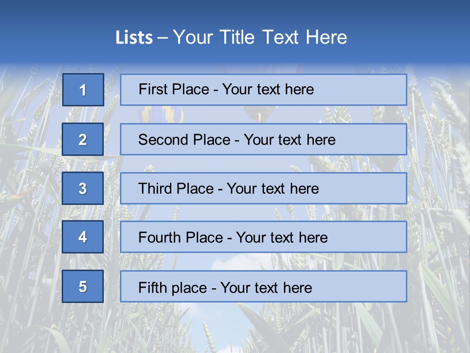 Aviation Fly Season PowerPoint Template