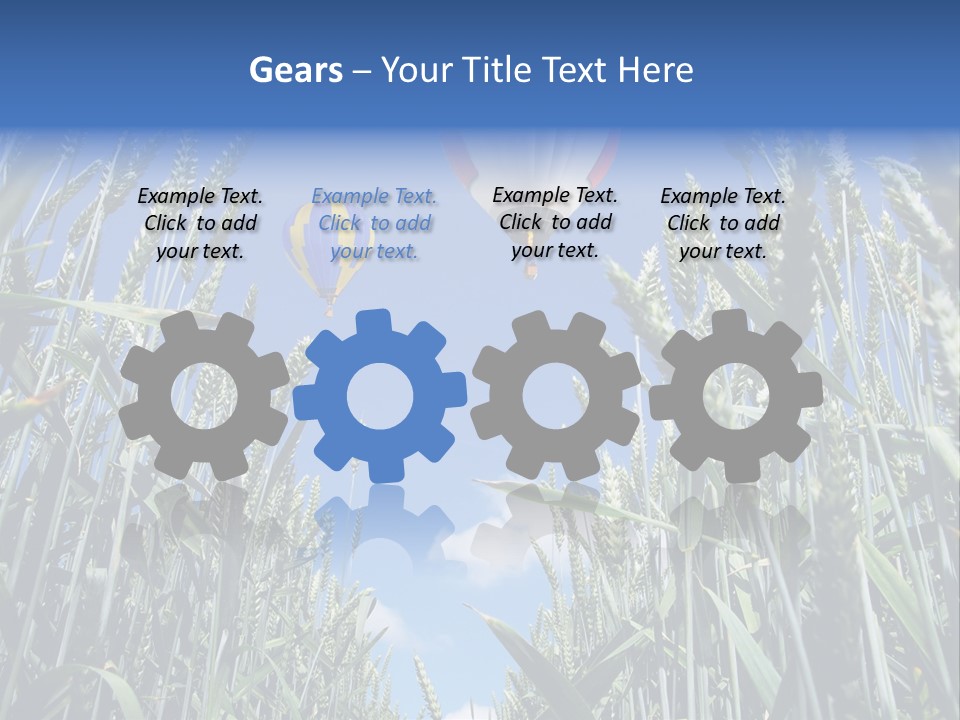 Aviation Fly Season PowerPoint Template