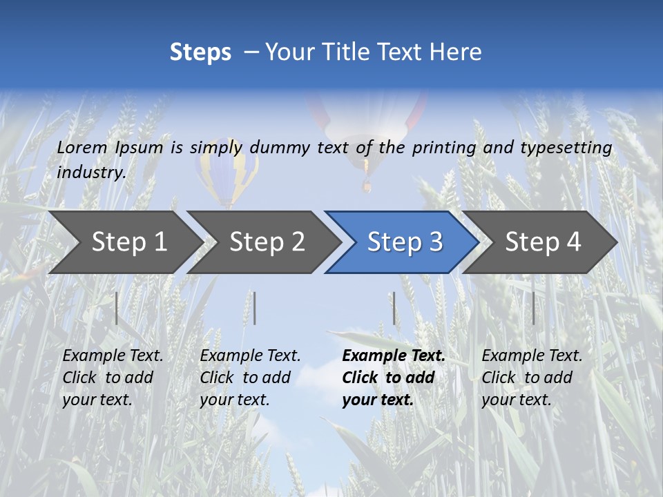 Aviation Fly Season PowerPoint Template