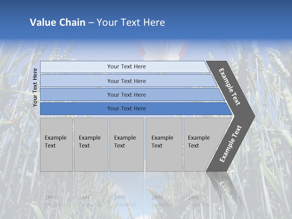 Aviation Fly Season PowerPoint Template
