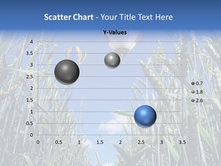 Aviation Fly Season PowerPoint Template