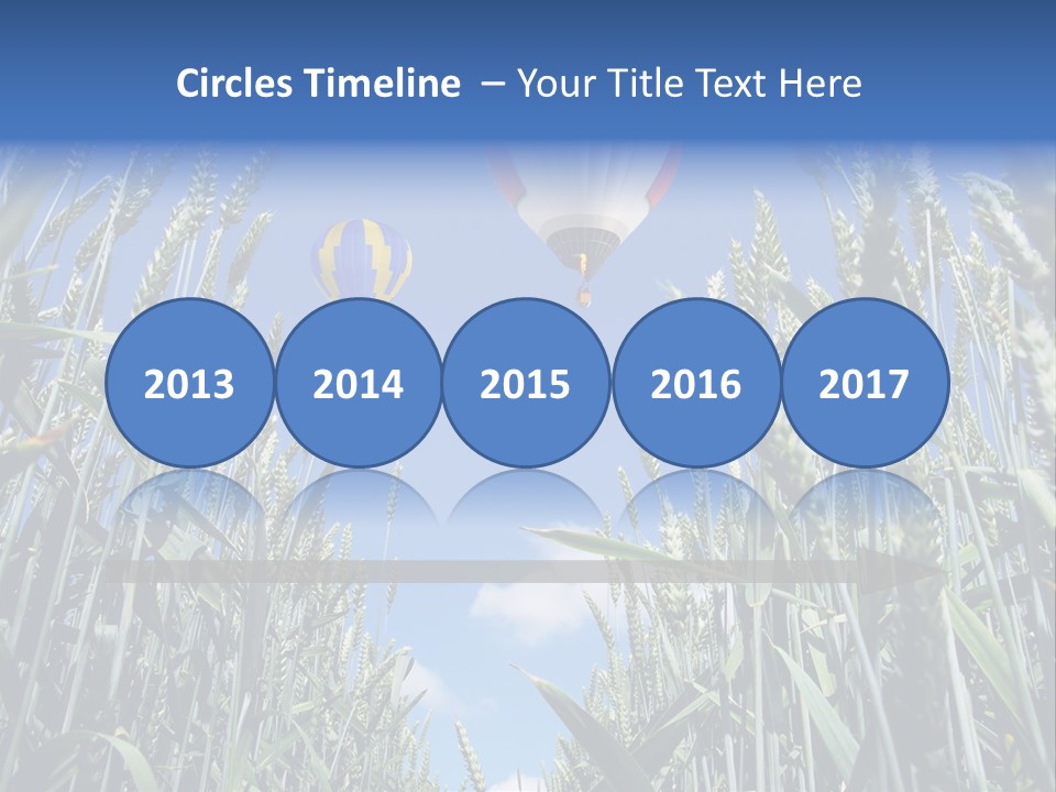 Aviation Fly Season PowerPoint Template