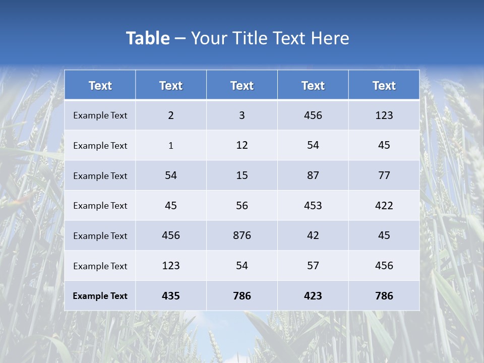 Aviation Fly Season PowerPoint Template