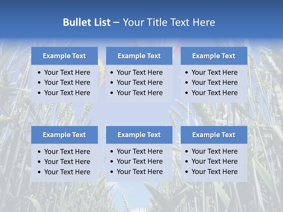 Aviation Fly Season PowerPoint Template