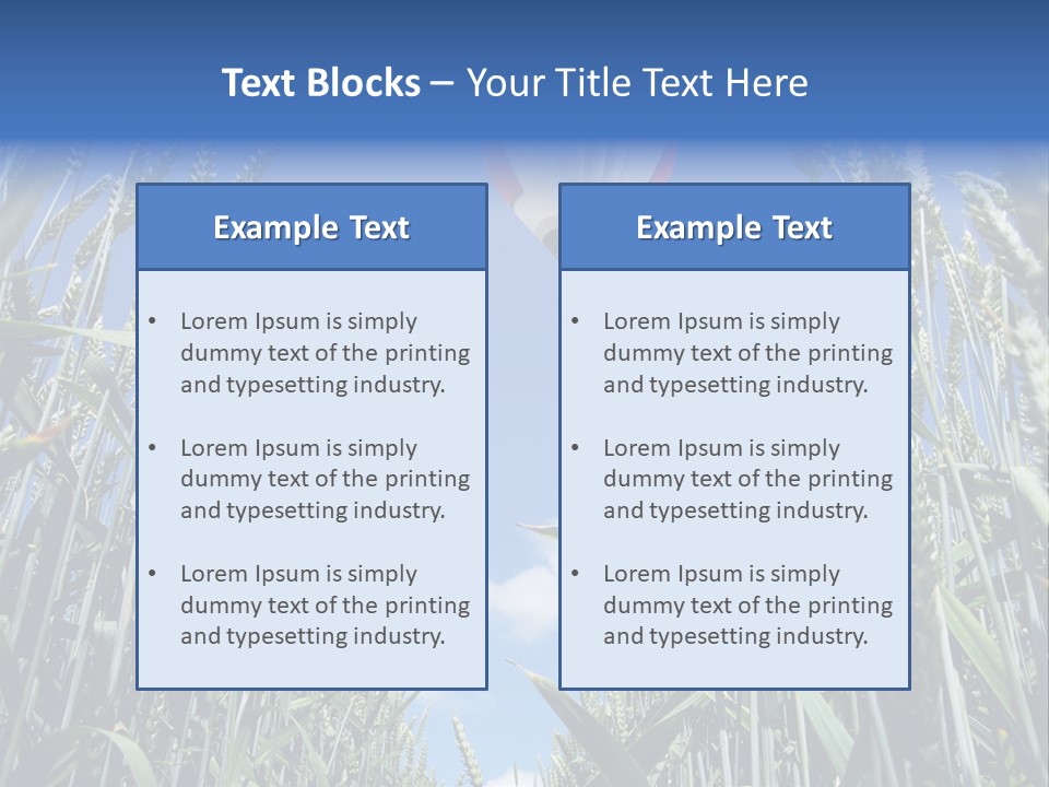 Aviation Fly Season PowerPoint Template