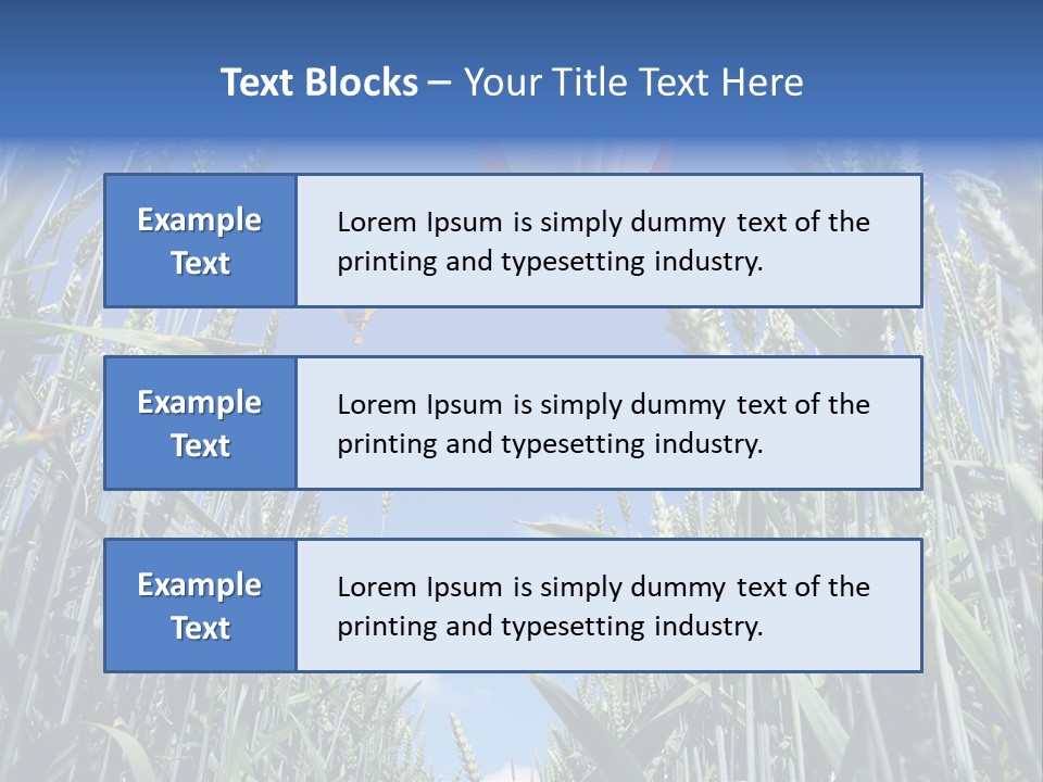 Aviation Fly Season PowerPoint Template