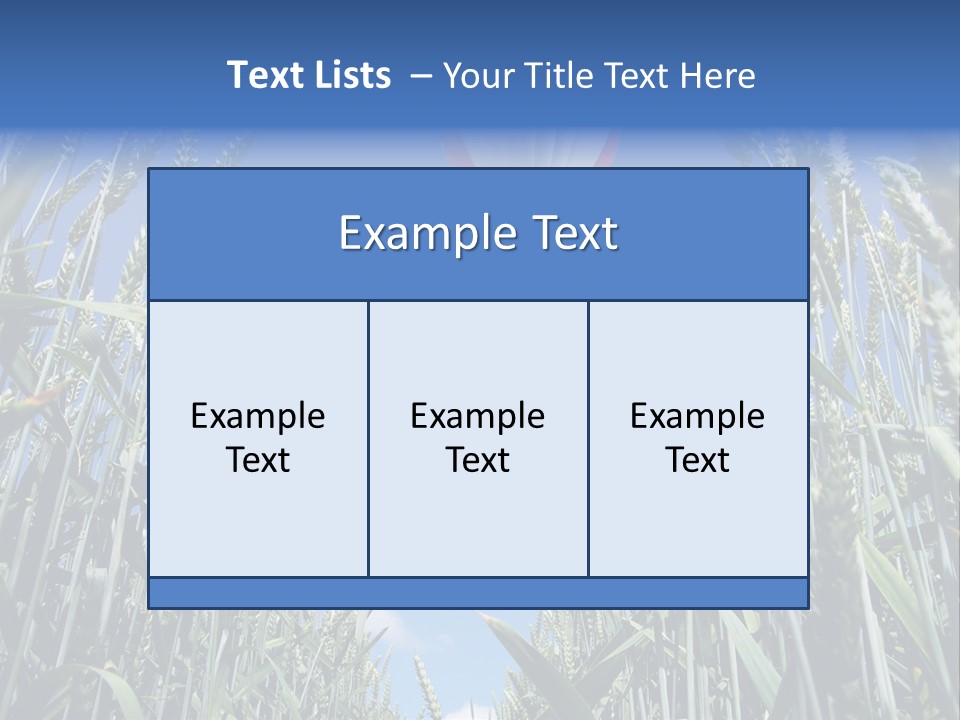 Aviation Fly Season PowerPoint Template