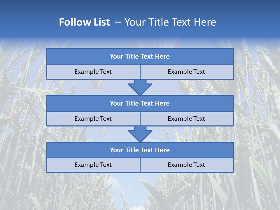 Aviation Fly Season PowerPoint Template