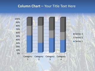 Aviation Fly Season PowerPoint Template