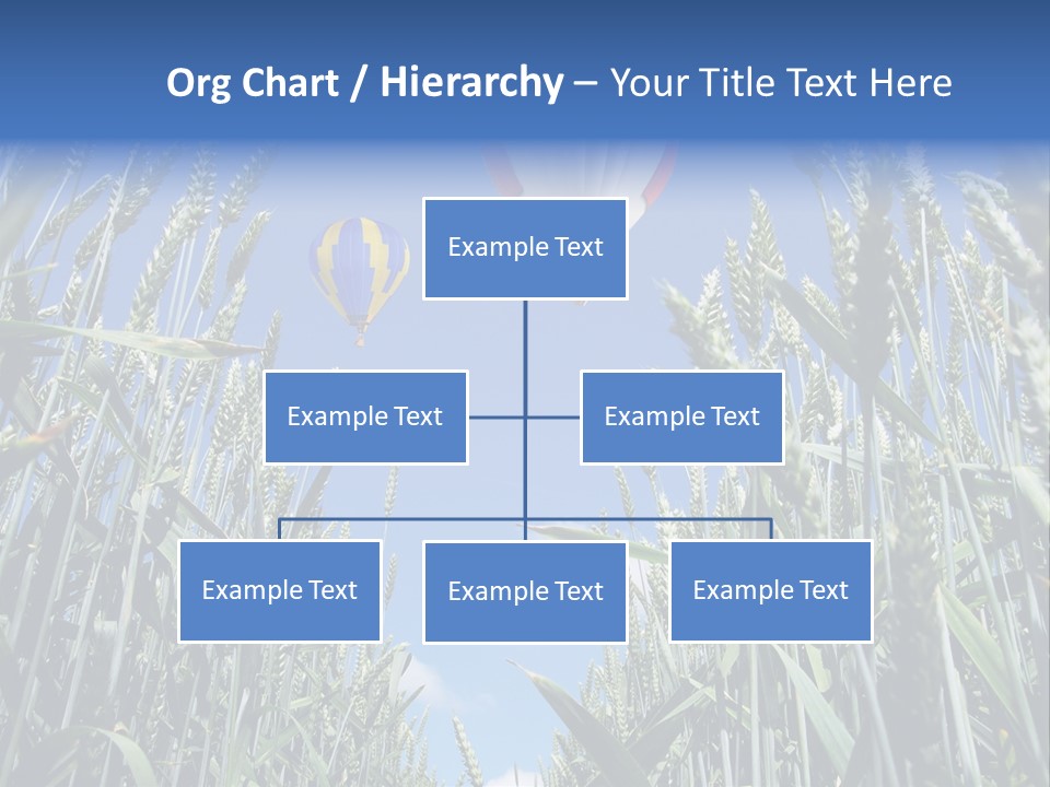Aviation Fly Season PowerPoint Template