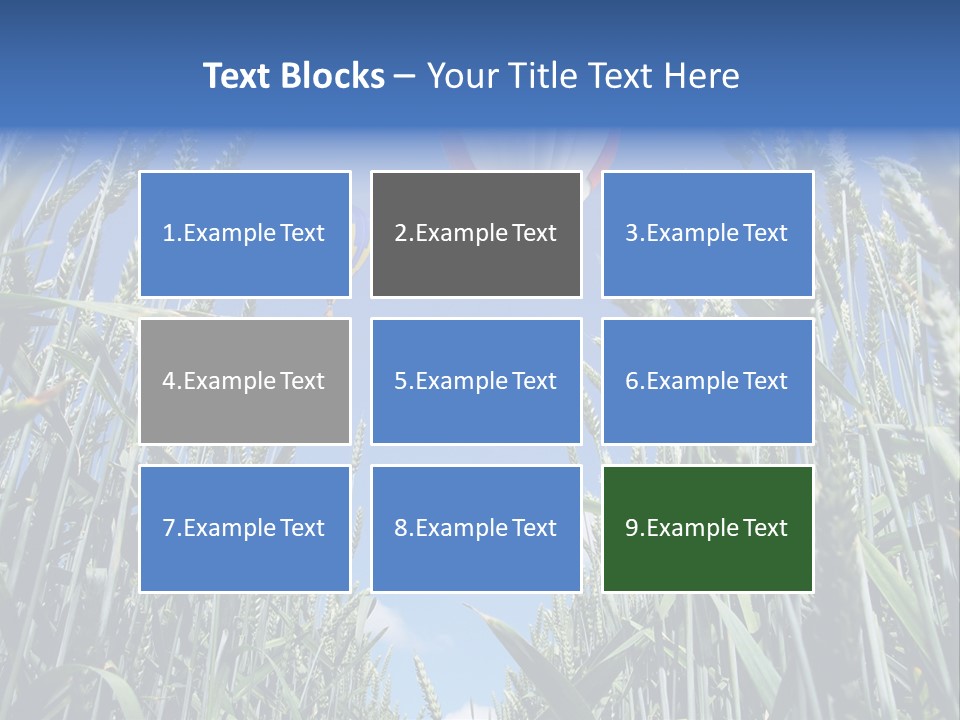 Aviation Fly Season PowerPoint Template