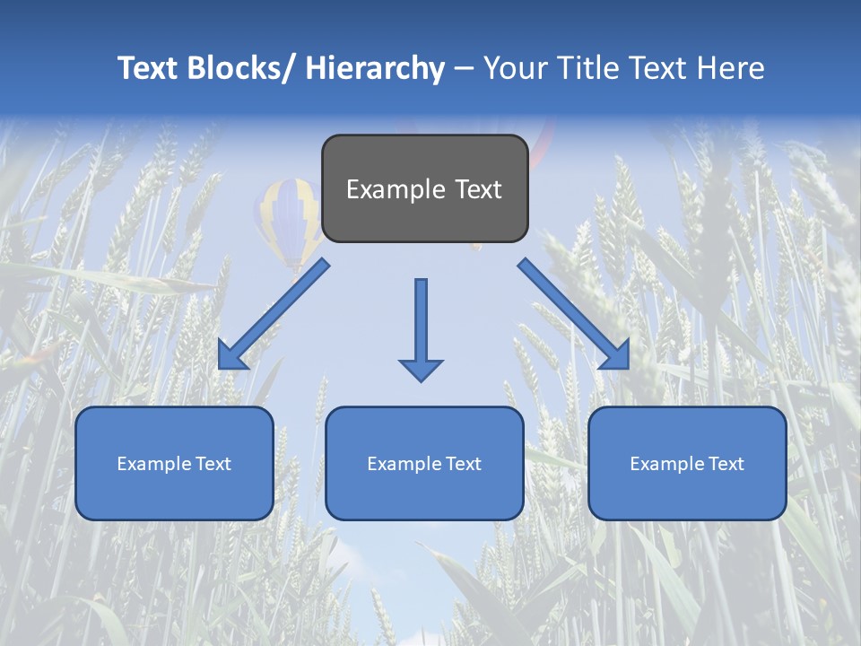 Aviation Fly Season PowerPoint Template