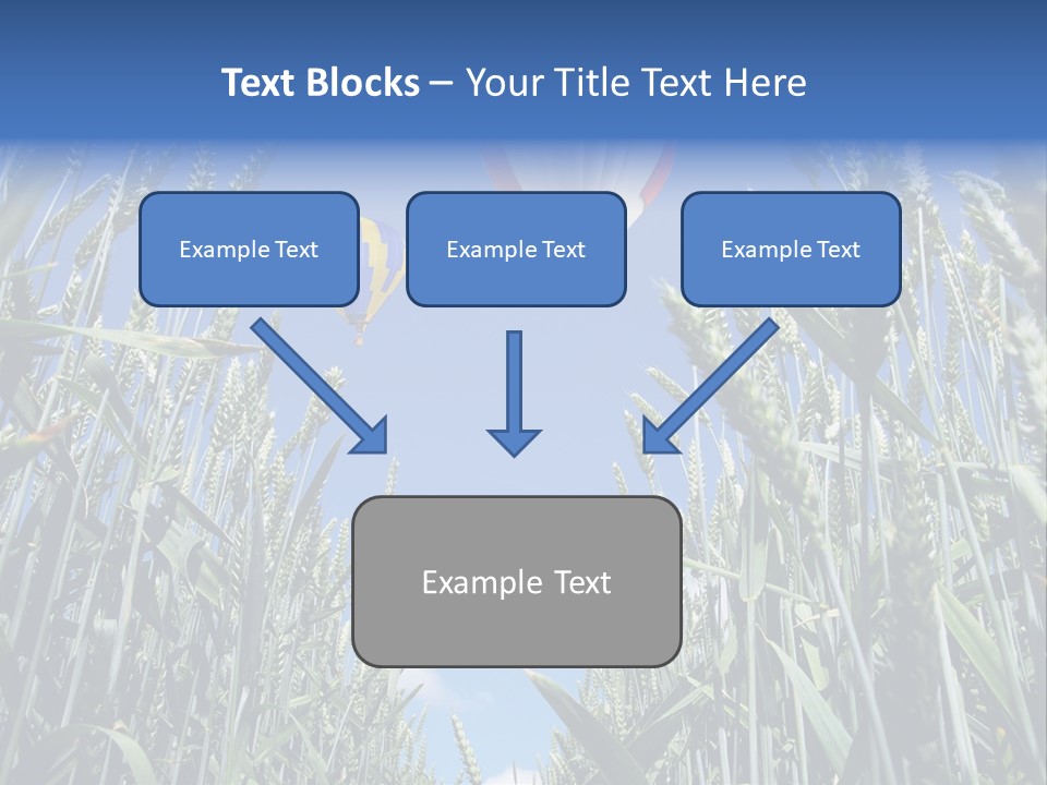 Aviation Fly Season PowerPoint Template