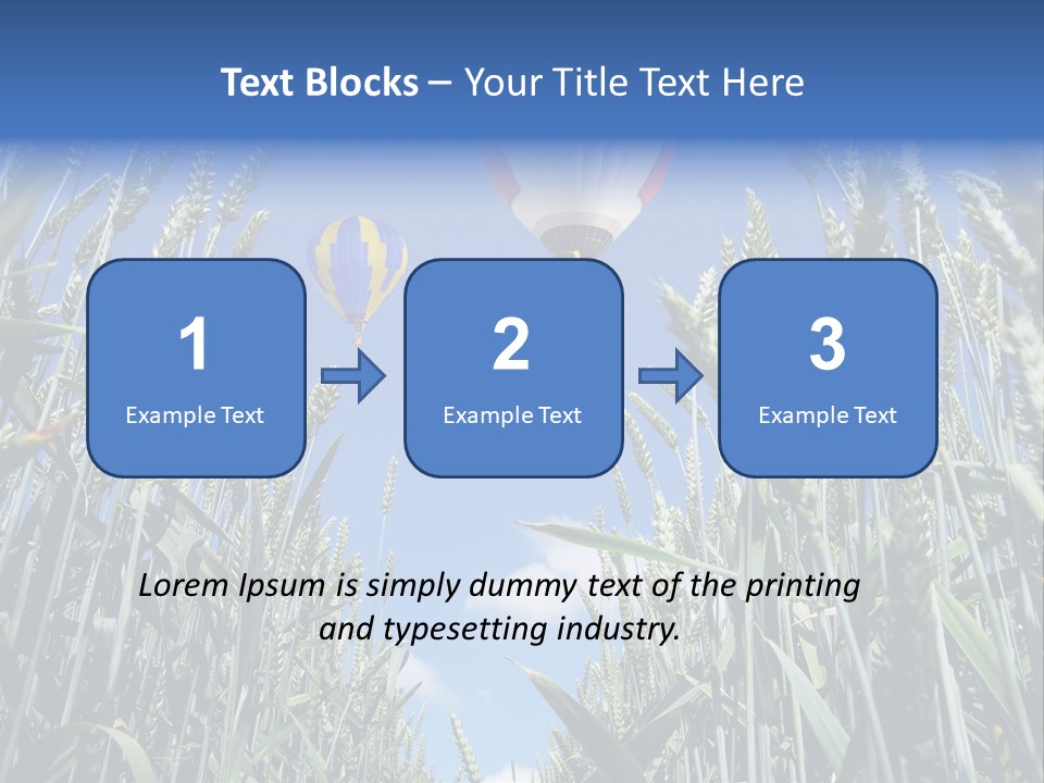 Aviation Fly Season PowerPoint Template