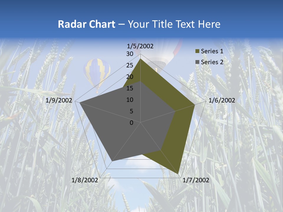 Aviation Fly Season PowerPoint Template