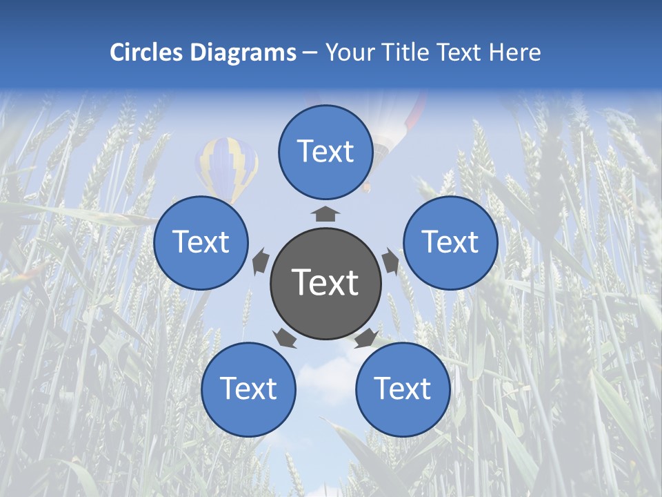 Aviation Fly Season PowerPoint Template