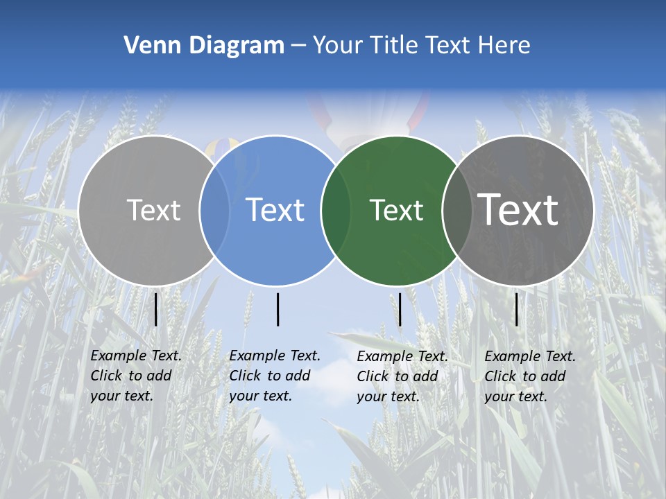 Aviation Fly Season PowerPoint Template