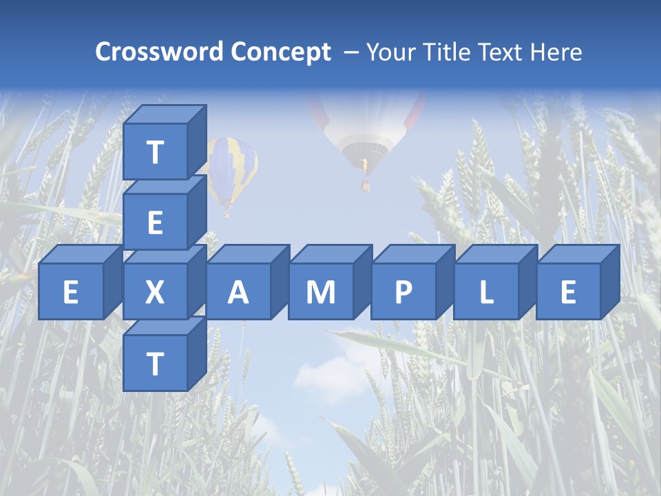 Aviation Fly Season PowerPoint Template