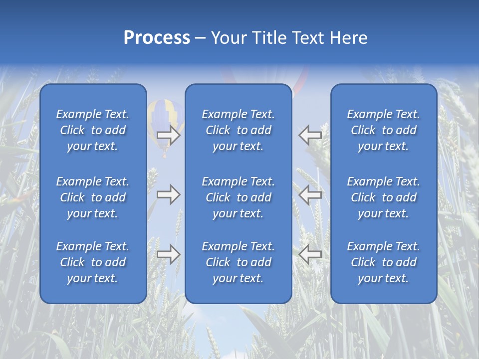 Aviation Fly Season PowerPoint Template