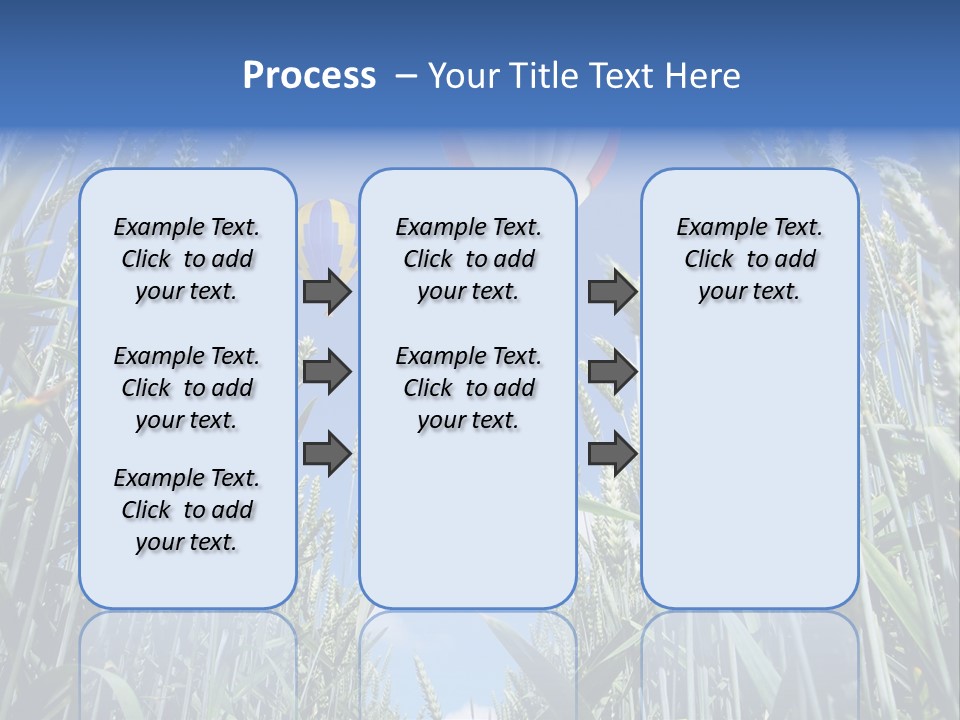 Aviation Fly Season PowerPoint Template