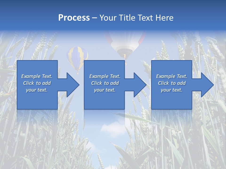 Aviation Fly Season PowerPoint Template