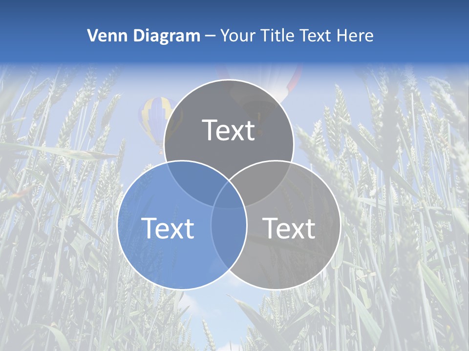 Aviation Fly Season PowerPoint Template