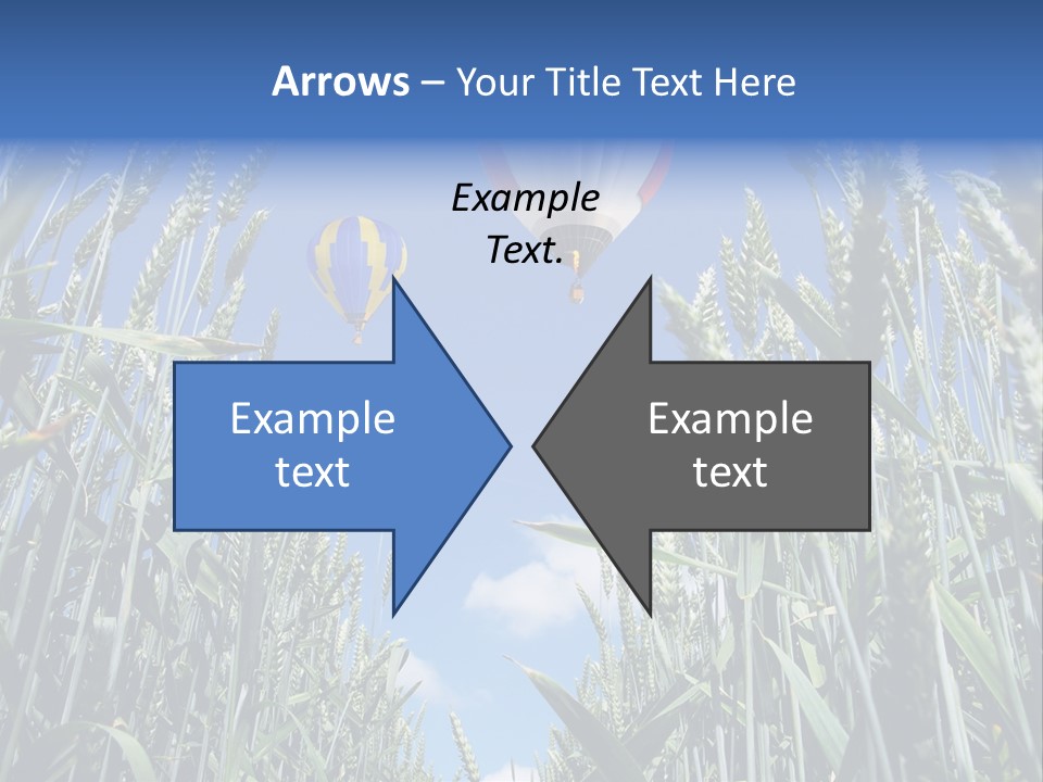 Aviation Fly Season PowerPoint Template