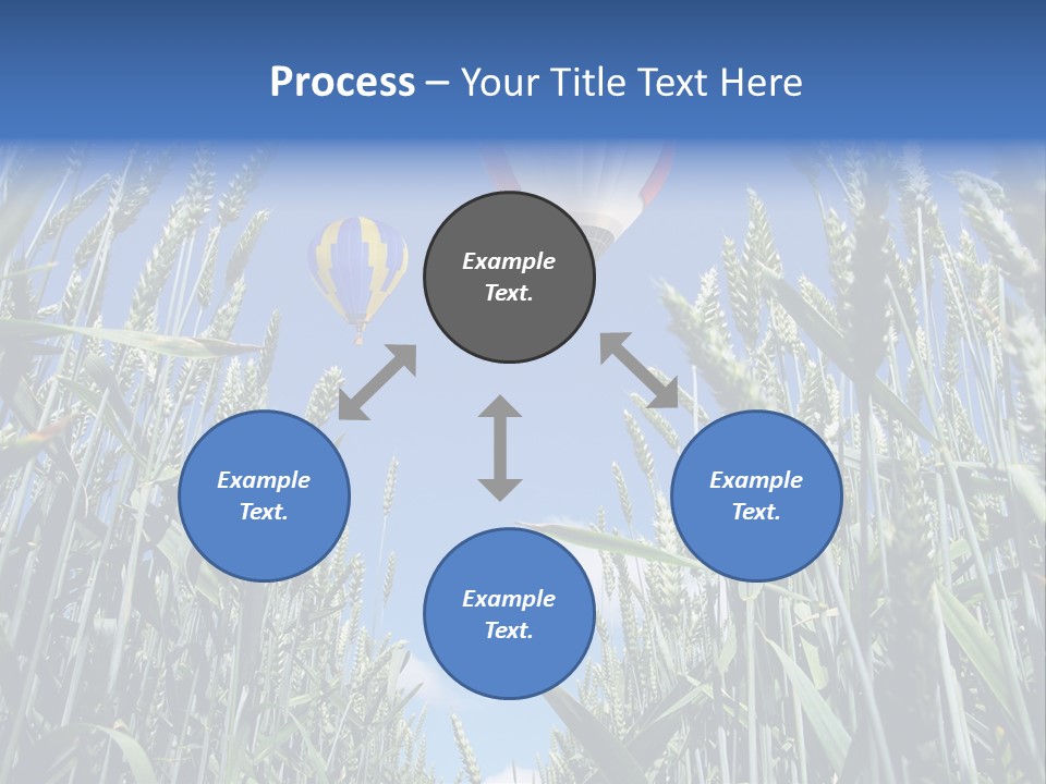 Aviation Fly Season PowerPoint Template