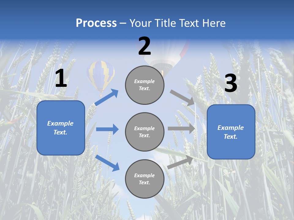 Aviation Fly Season PowerPoint Template