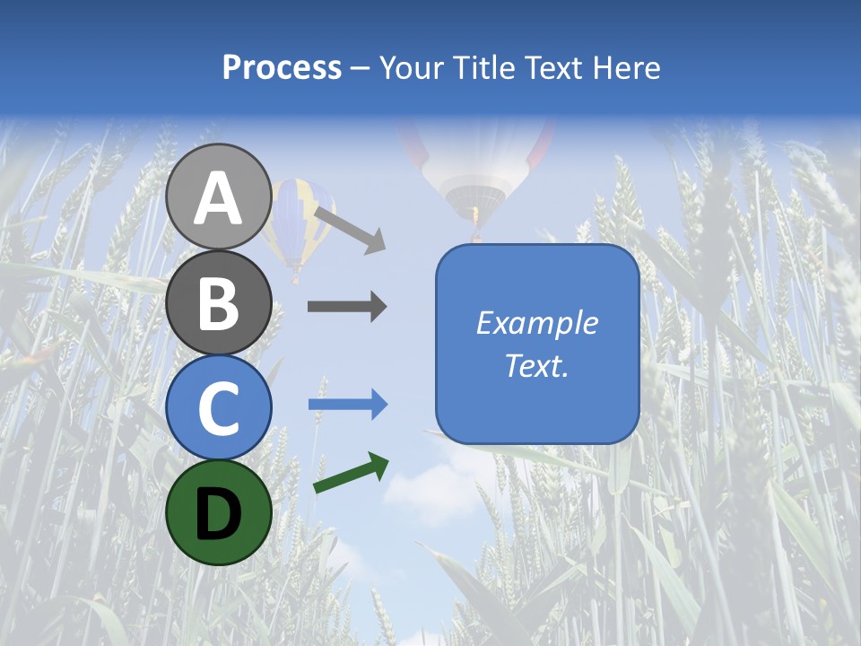 Aviation Fly Season PowerPoint Template