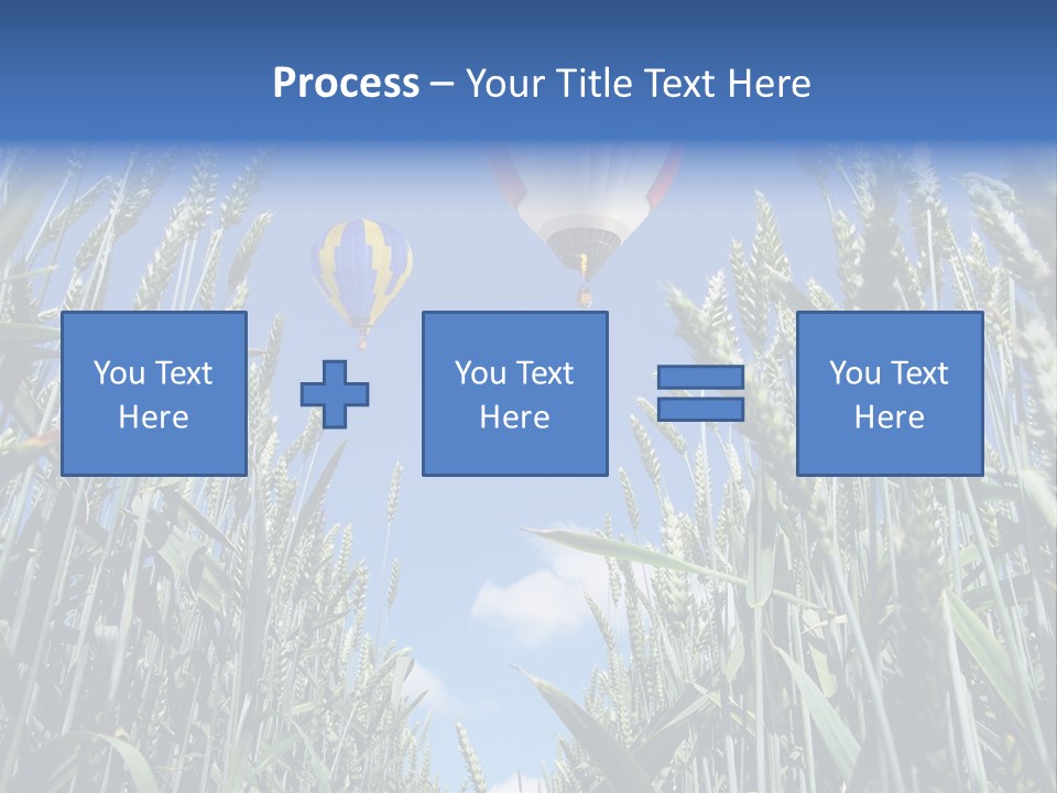 Aviation Fly Season PowerPoint Template