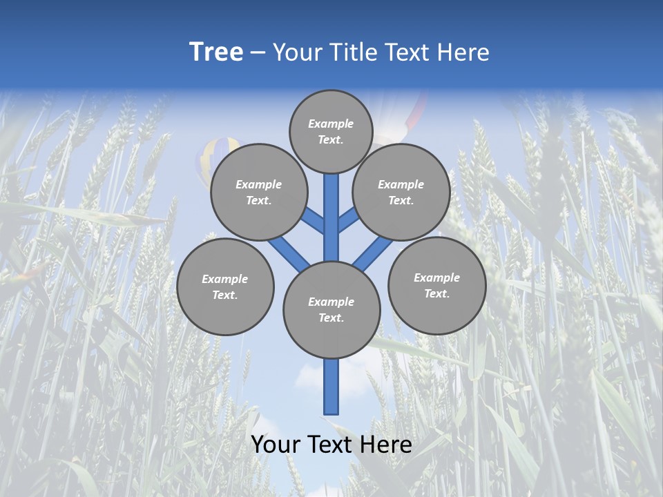 Aviation Fly Season PowerPoint Template