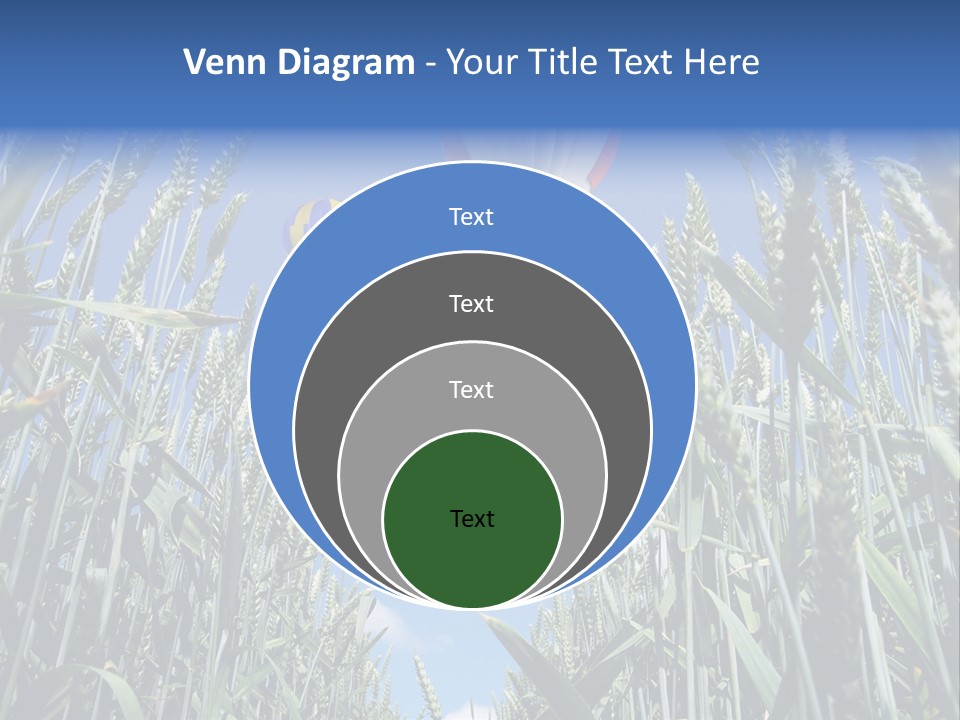 Aviation Fly Season PowerPoint Template