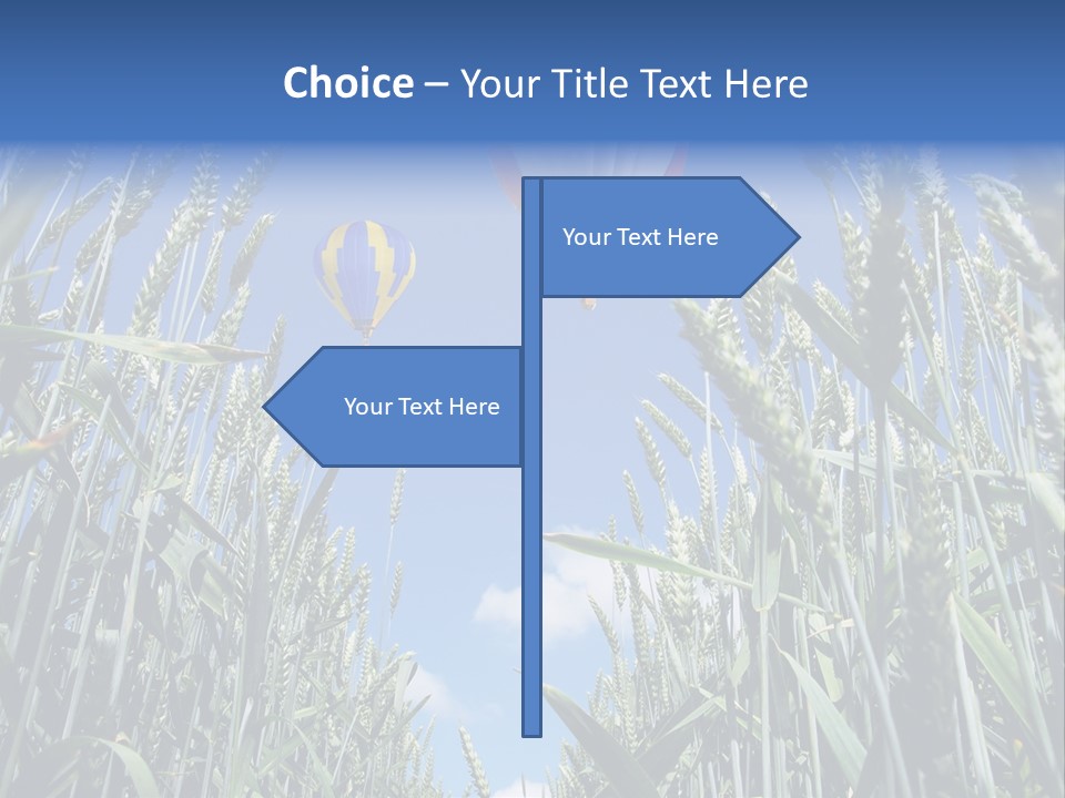 Aviation Fly Season PowerPoint Template
