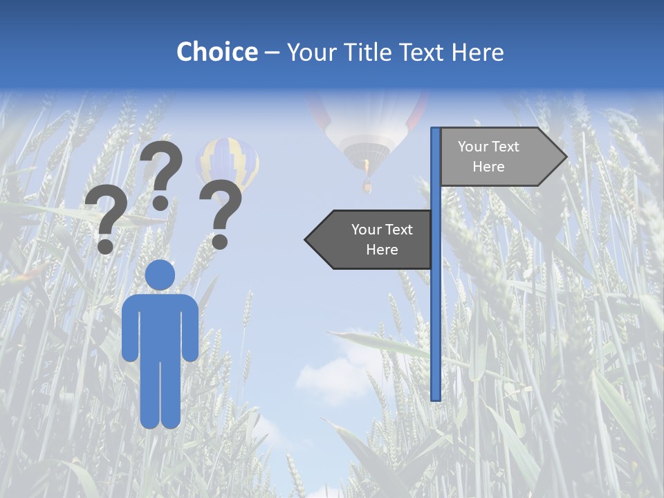 Aviation Fly Season PowerPoint Template