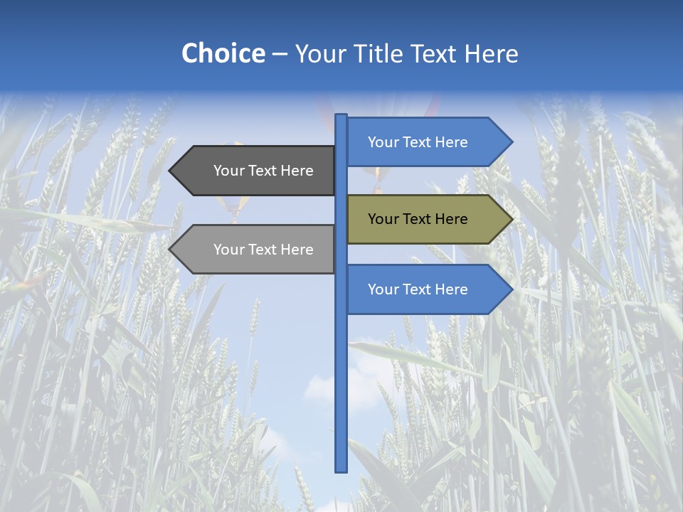 Aviation Fly Season PowerPoint Template