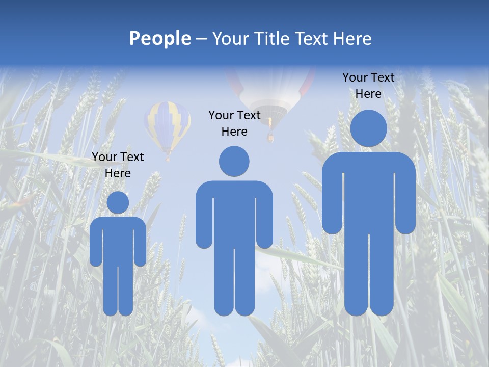 Aviation Fly Season PowerPoint Template