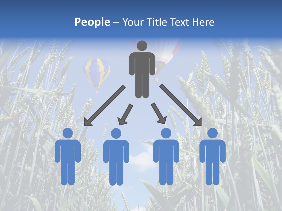 Aviation Fly Season PowerPoint Template