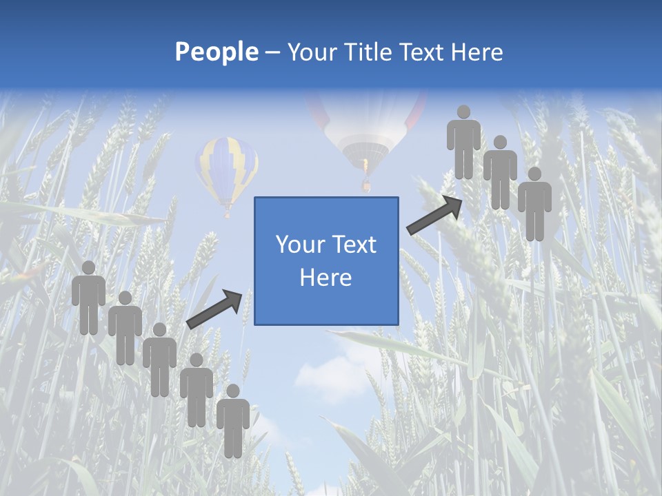 Aviation Fly Season PowerPoint Template