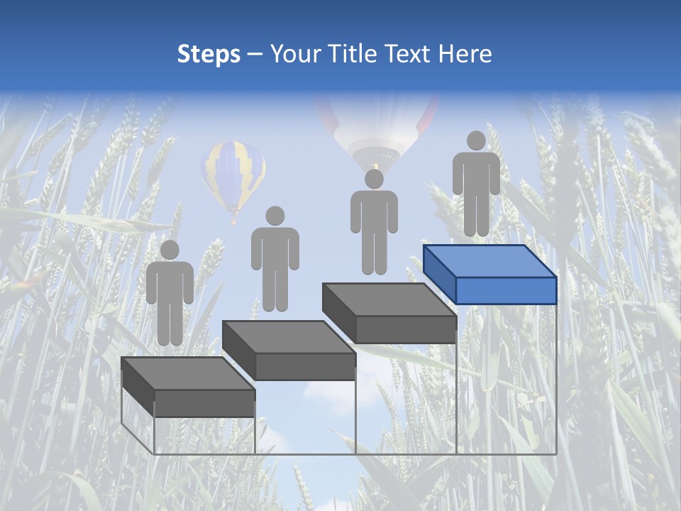 Aviation Fly Season PowerPoint Template