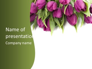 Smooth Leaf Macro PowerPoint Template