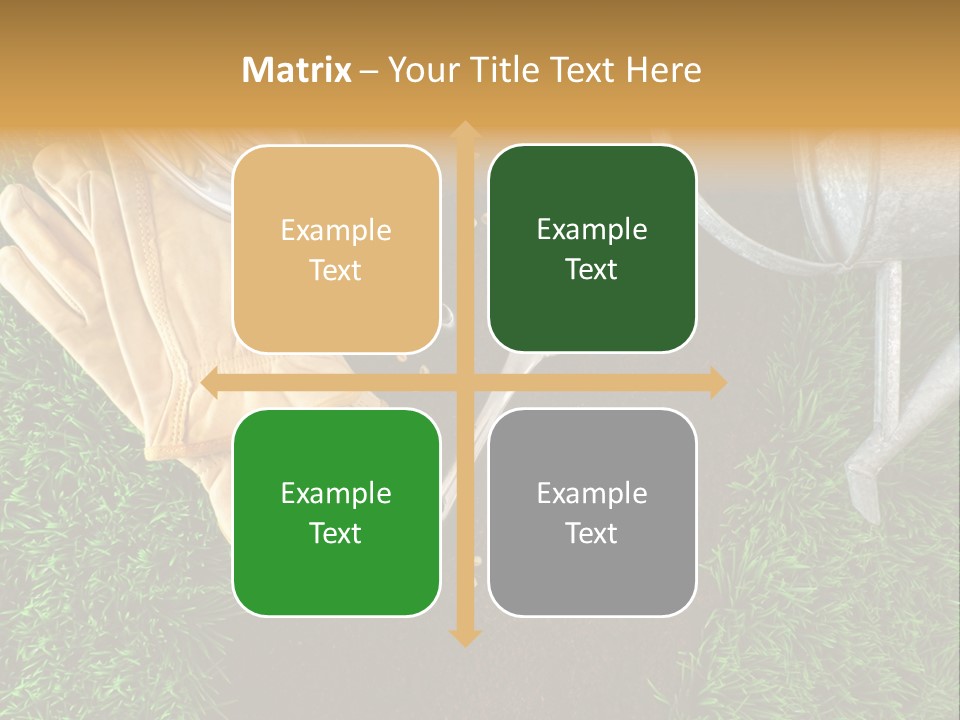Space Spring Grow PowerPoint Template