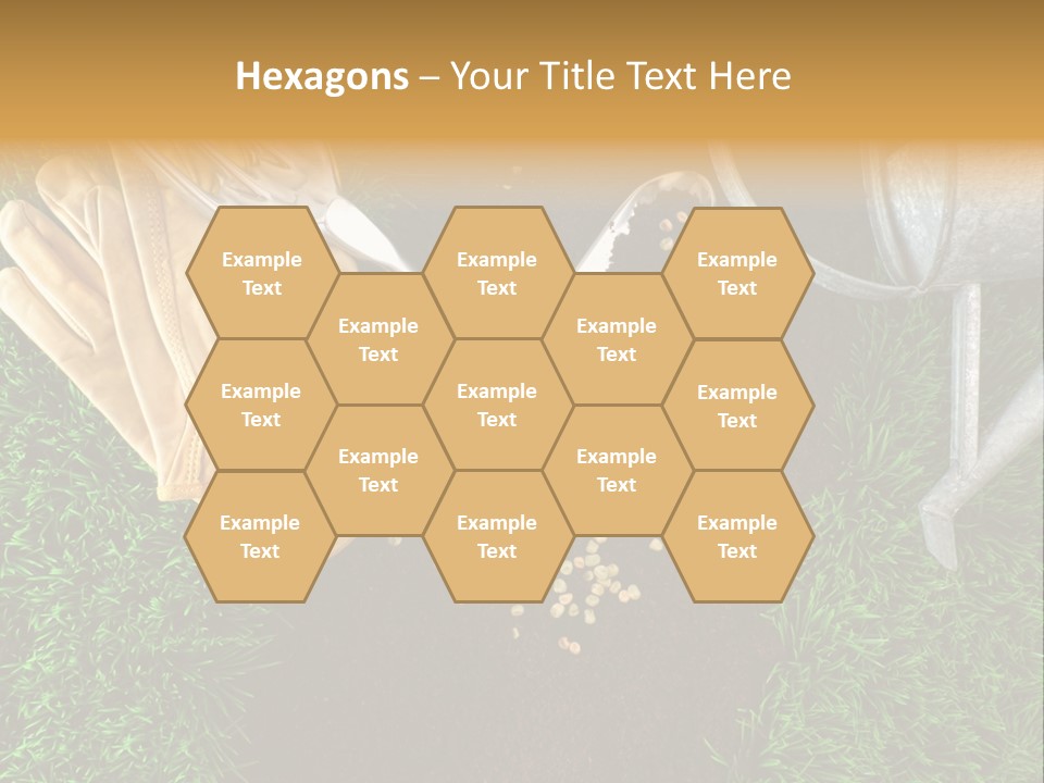 Space Spring Grow PowerPoint Template