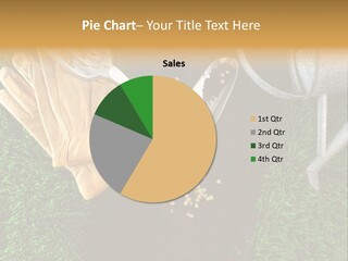 Space Spring Grow PowerPoint Template