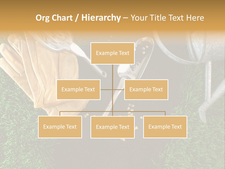 Space Spring Grow PowerPoint Template