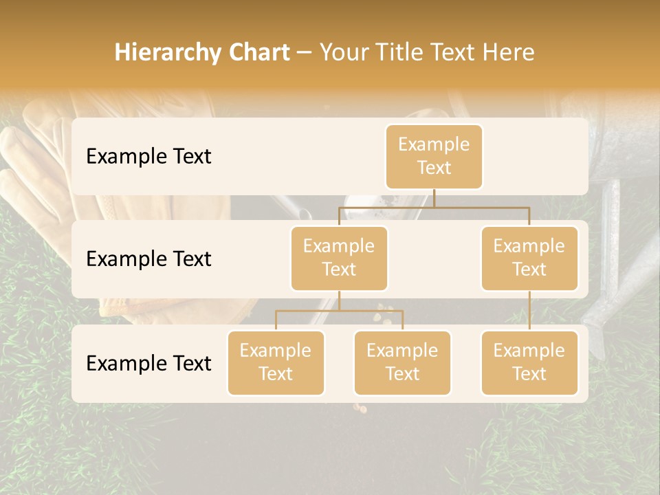Space Spring Grow PowerPoint Template