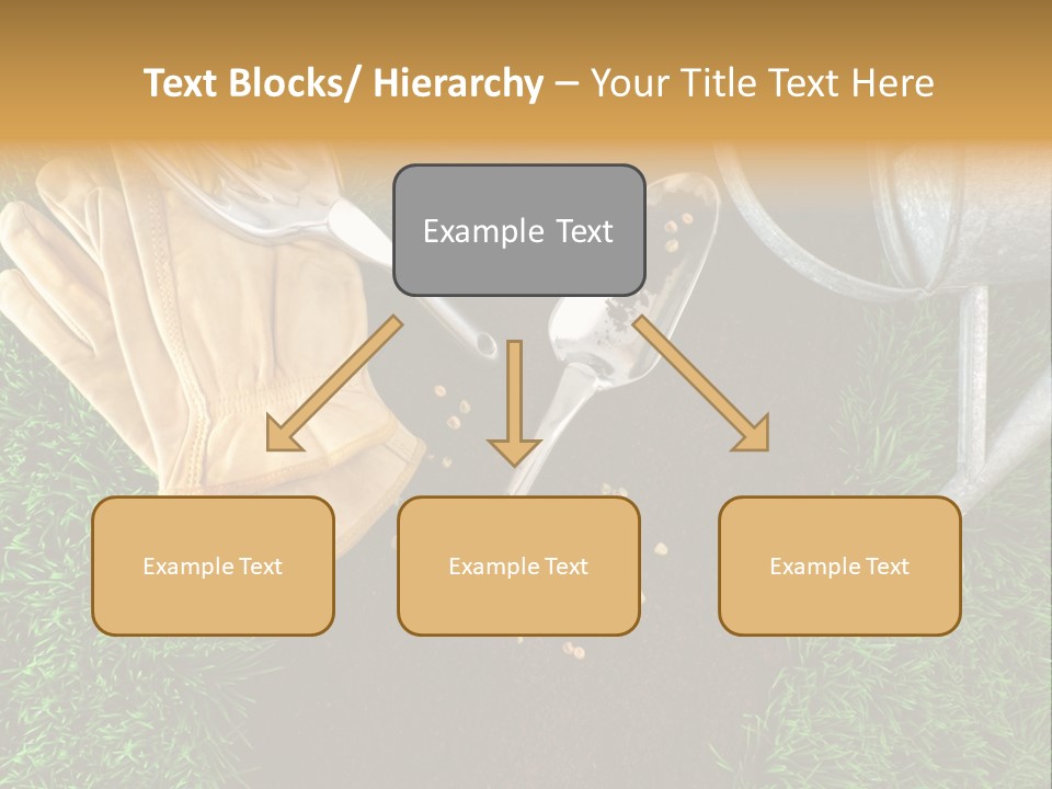 Space Spring Grow PowerPoint Template