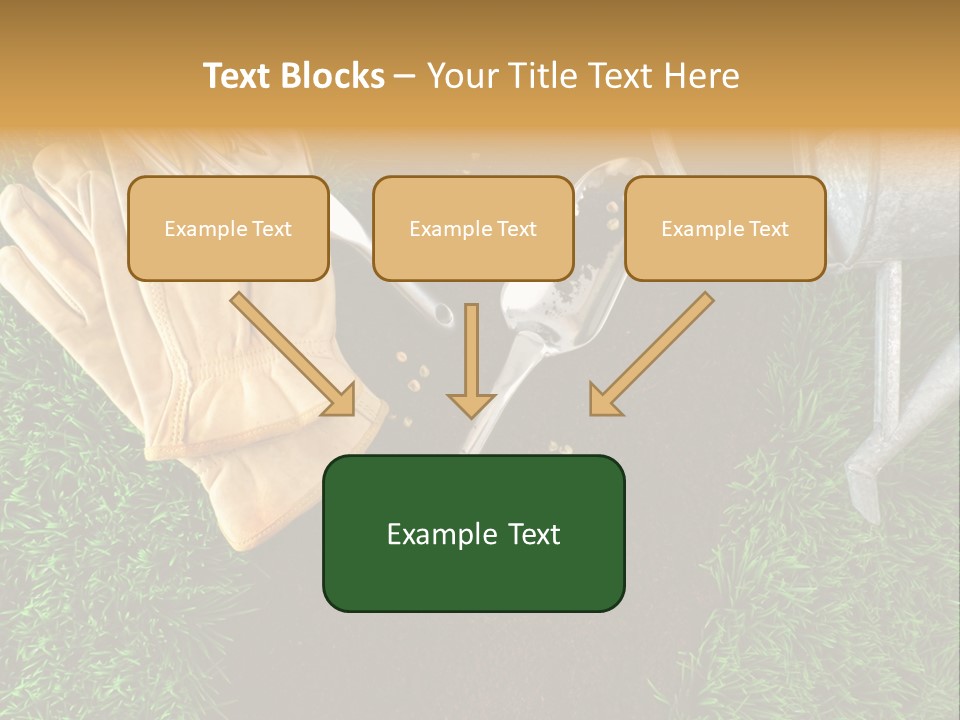 Space Spring Grow PowerPoint Template