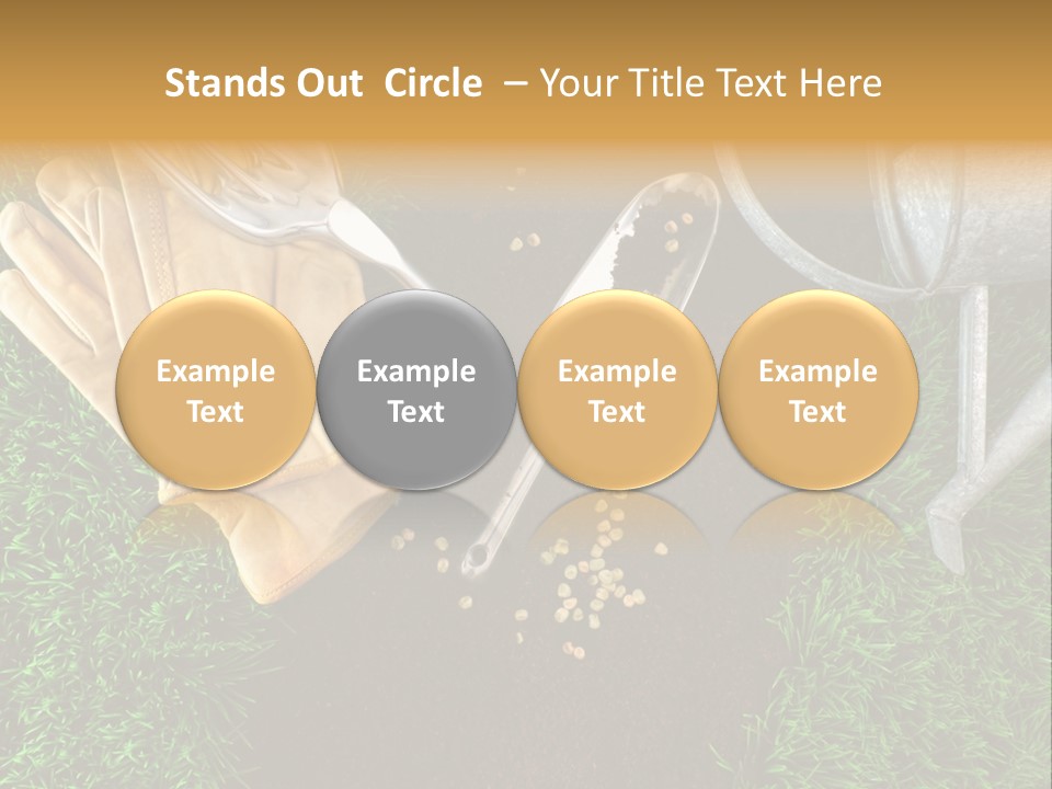 Space Spring Grow PowerPoint Template