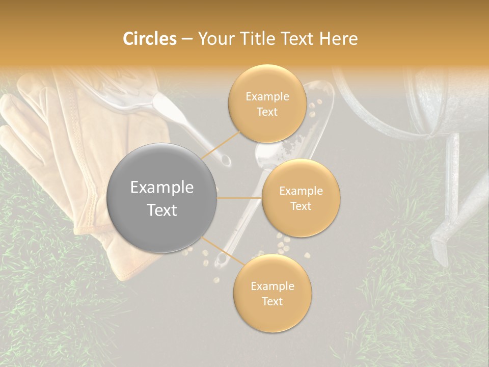Space Spring Grow PowerPoint Template
